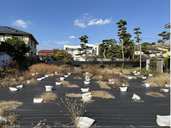 神奈川県茅ヶ崎市松が丘２丁目の土地
