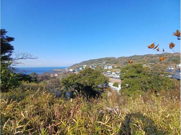 神奈川県横須賀市秋谷の土地