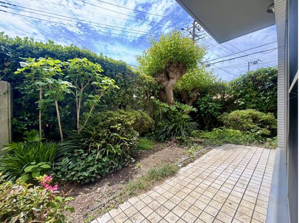 神奈川県藤沢市辻堂東海岸２丁目のマンション