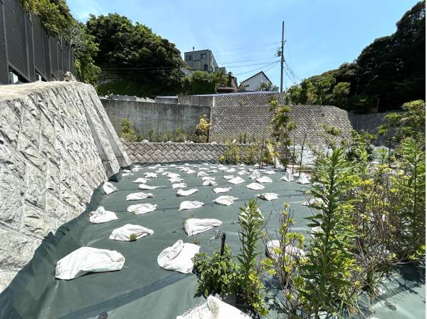 敷地約56坪