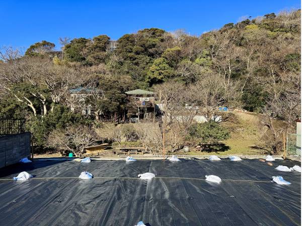神奈川県三浦郡葉山町下山口の土地