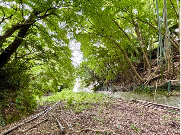 神奈川県中郡大磯町東小磯の土地