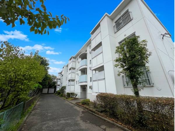 神奈川県茅ヶ崎市中海岸４丁目のマンション