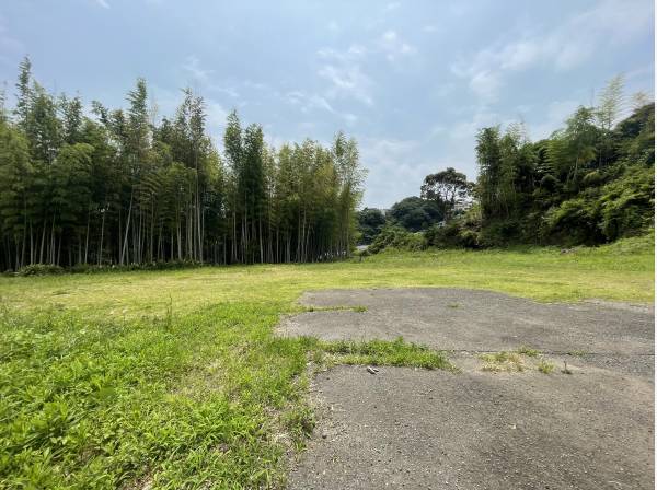 竹林風景が美しい