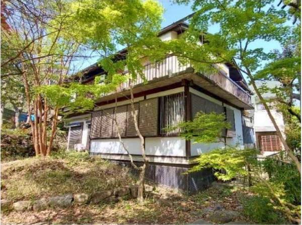 春から夏へ向かう季節の1枚。