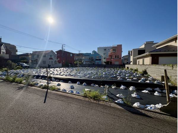神奈川県三浦郡葉山町一色の土地