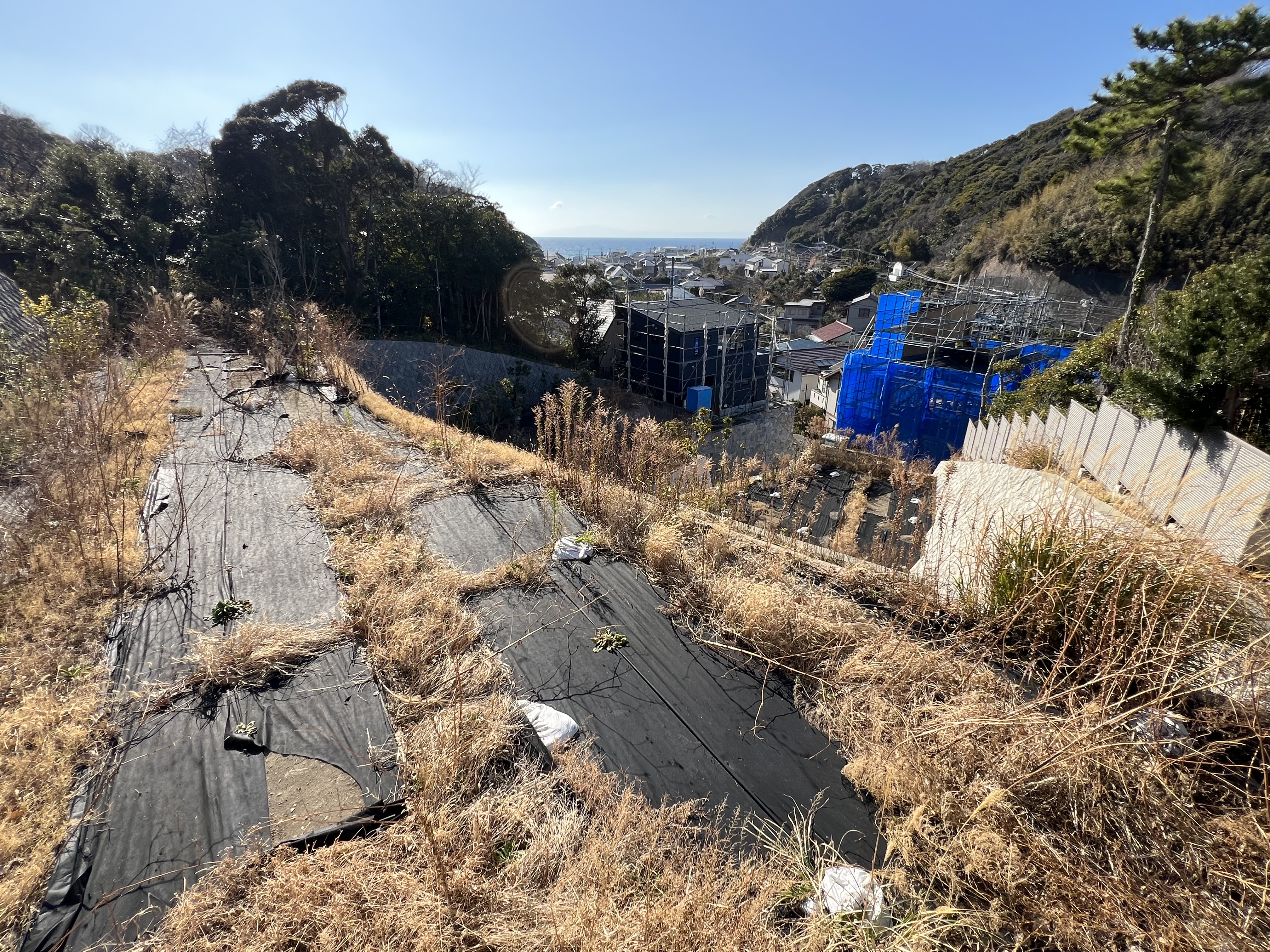湖東焼　段重 湖東焼 段重 2025年最新】湖東焼(Koto ware)のアンティーク商品