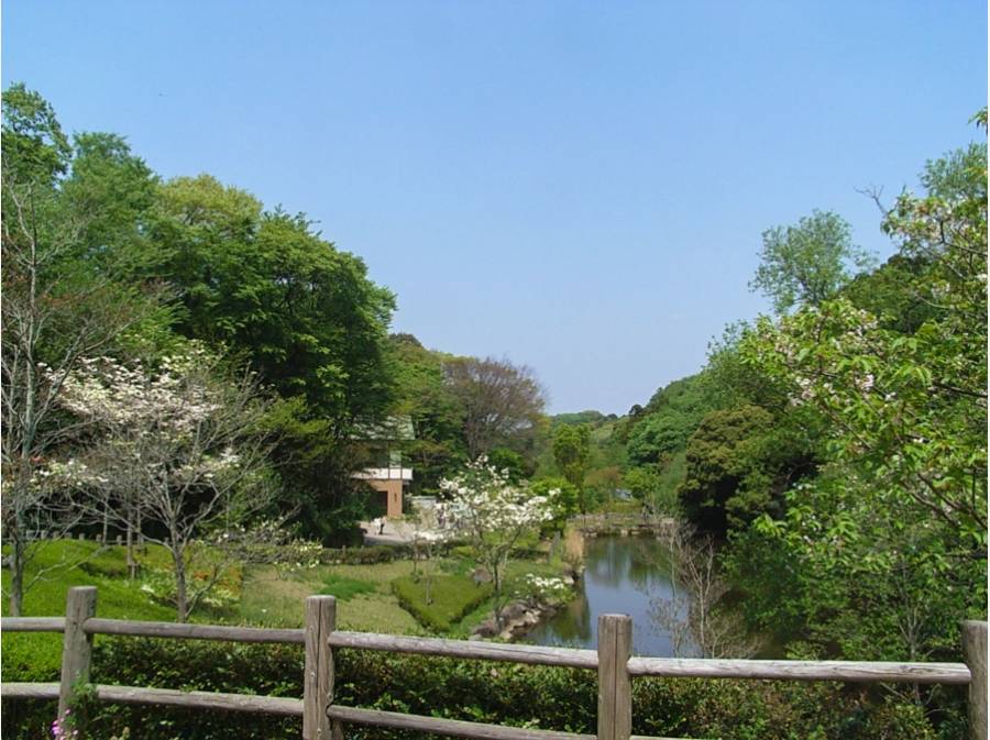鎌倉中央公園　約５００Ｍ