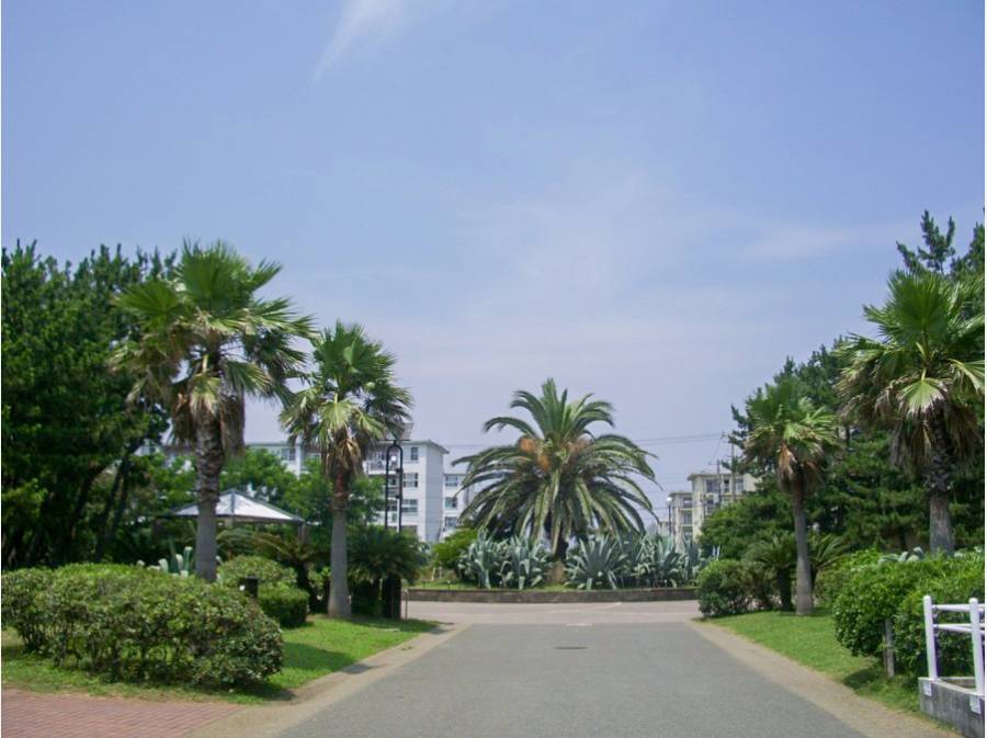 辻堂海浜公園 徒歩1分 約50m