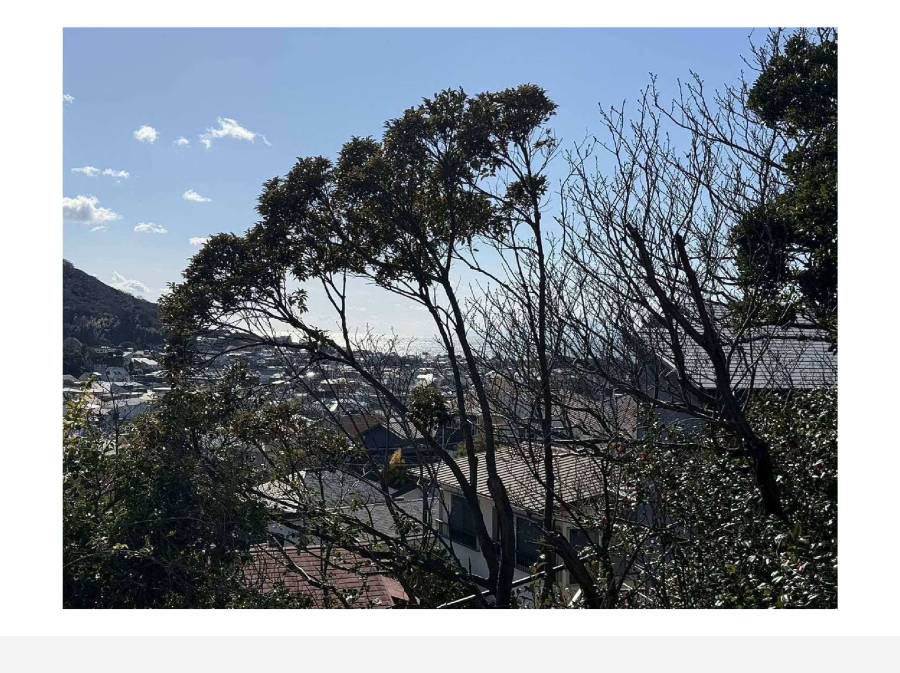 2階からも海を一望です!