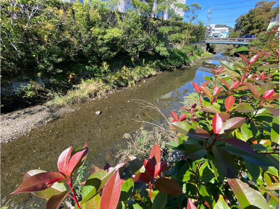 神奈川県鎌倉市材木座1丁目 土地 6 490万円 東宝ハウス湘南 湘南の家さがし 不動産情報 神奈川県鎌倉市材木座1丁目 土地 6 490万円 東宝ハウス湘南 湘南の家さがし 不動産情報