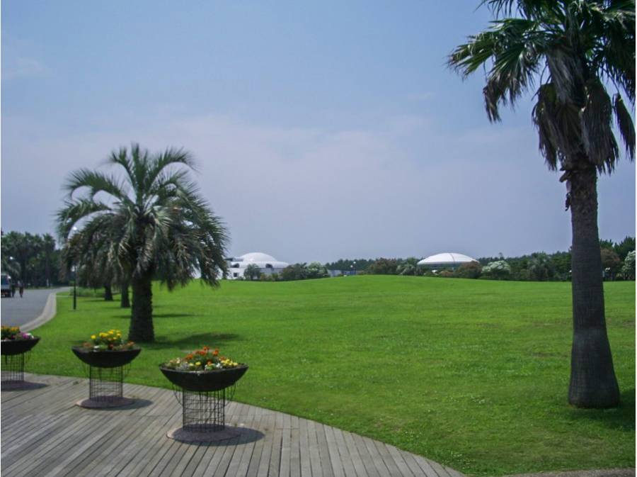 辻堂海浜公園(約1.1km)