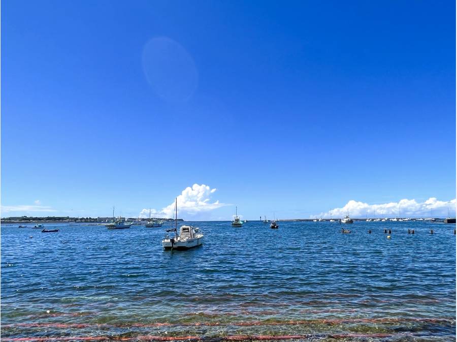 佐島港まで徒歩4分(約240m)