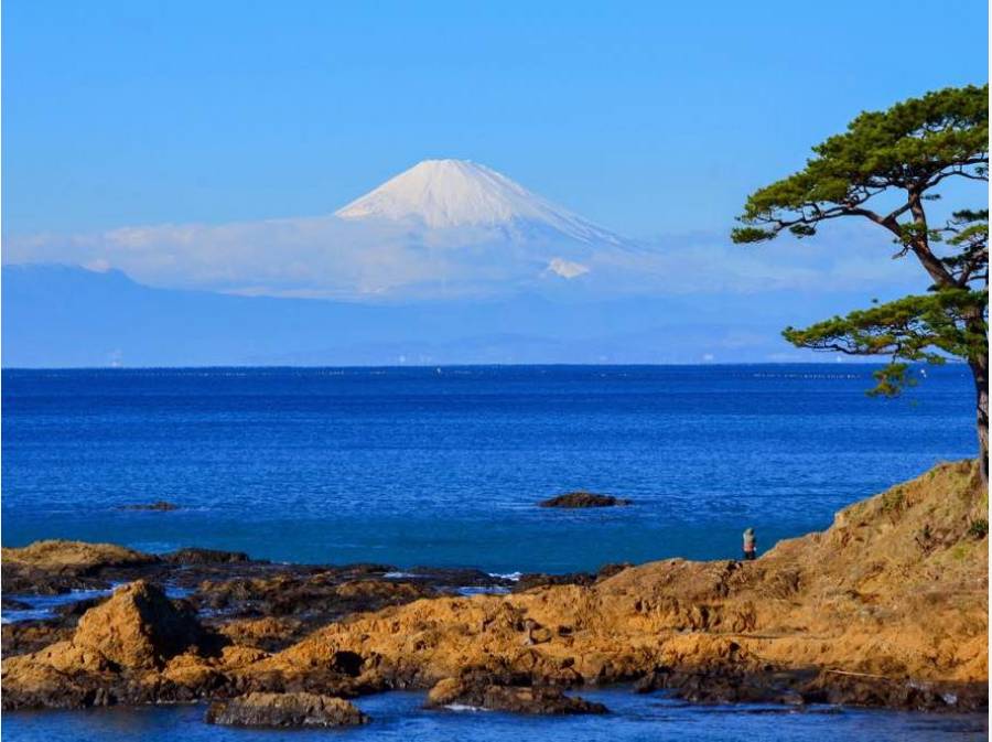富士山を眺めにお散歩でふらっと・・・（秋谷海岸イメージ）