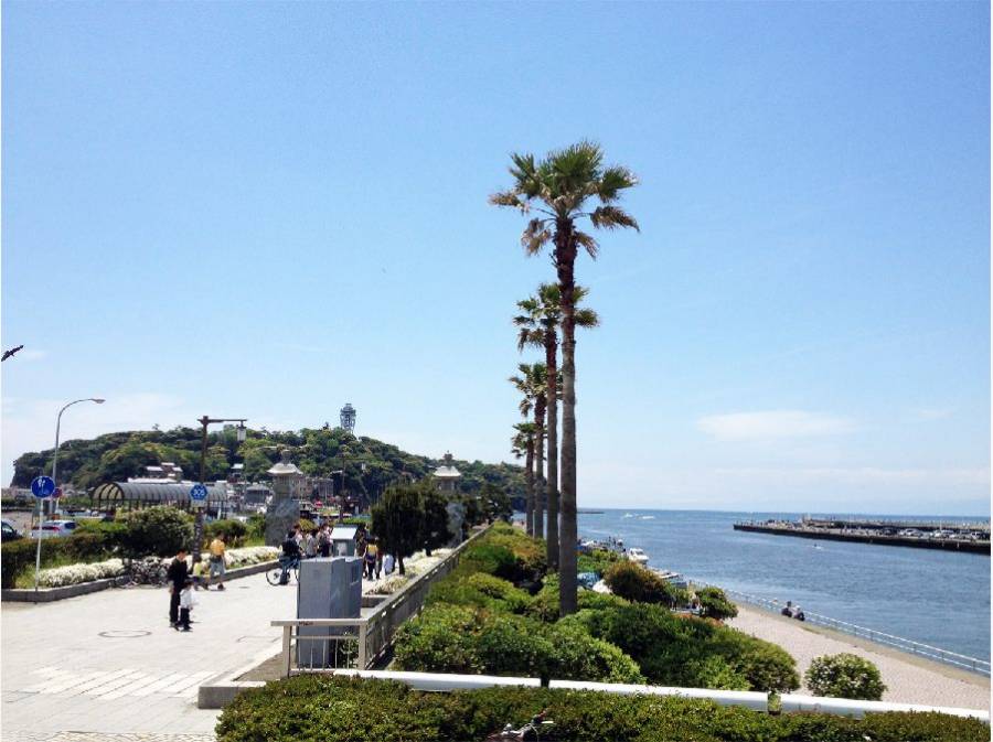 海に江ノ島、自然豊かな湘南・鵠沼に住まう(イメージ)