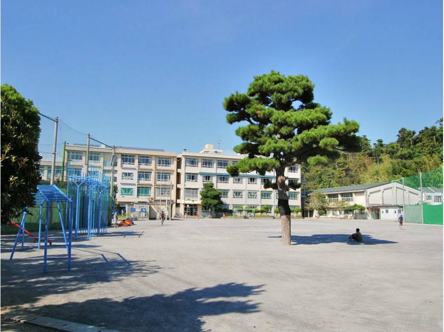 片瀬小学校（約500m）