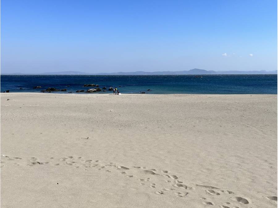 三浦海岸(イメージ)約2600m