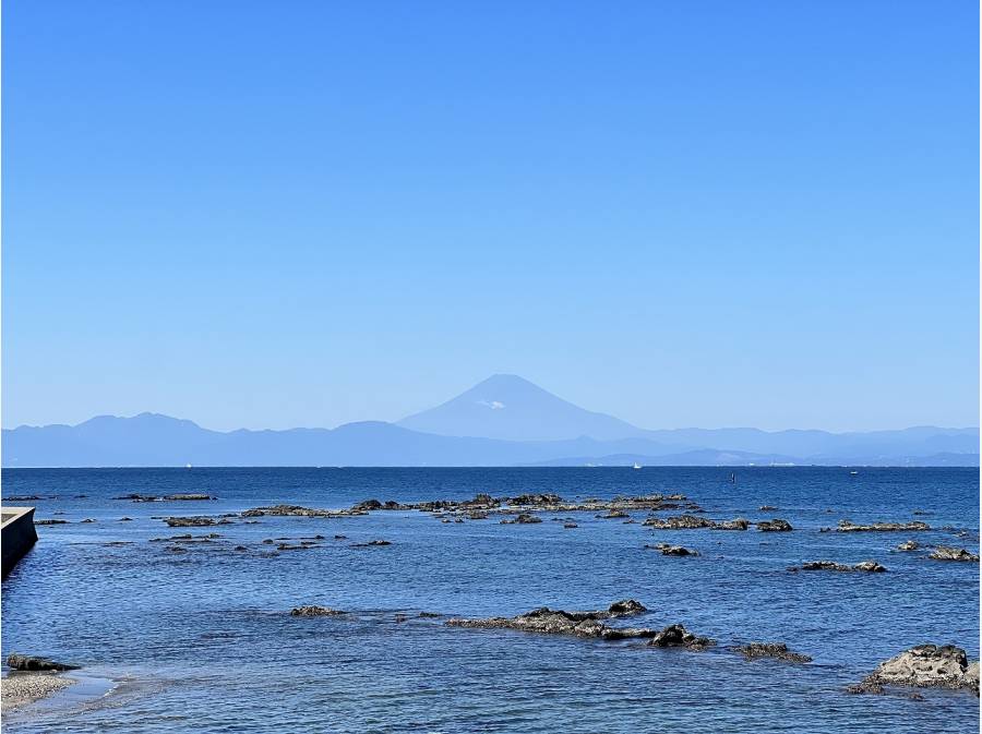 澄んだ日には富士山も望めます。
