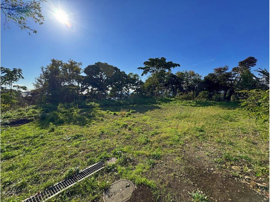 敷地内はおおむね平坦な状態です。建築プランも入れやすそう。