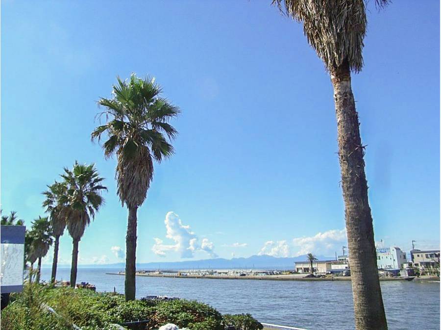 片瀬海岸約800m 徒歩10分