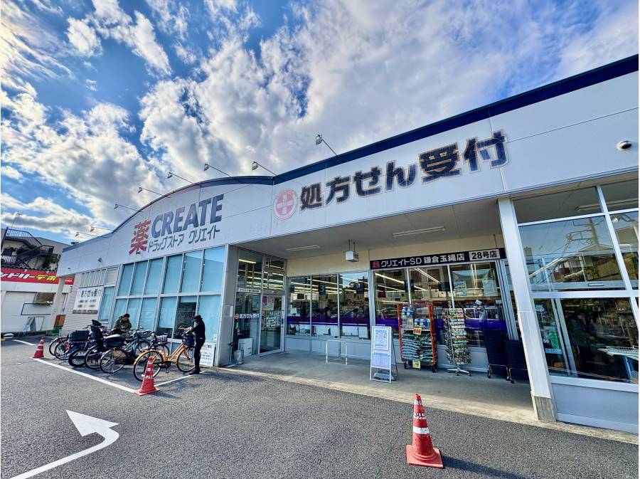 ドラッグストア約450m