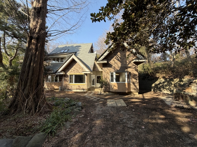 detached 堤
